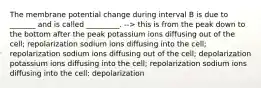 The membrane potential change during interval B is due to _______ and is called _________. --> this is from the peak down to the bottom after the peak potassium ions diffusing out of the cell; repolarization sodium ions diffusing into the cell; repolarization sodium ions diffusing out of the cell; depolarization potassium ions diffusing into the cell; repolarization sodium ions diffusing into the cell; depolarization