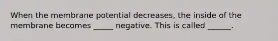 When the membrane potential decreases, the inside of the membrane becomes _____ negative. This is called ______.