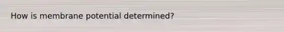 How is membrane potential determined?