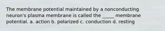 The membrane potential maintained by a nonconducting neuron's plasma membrane is called the _____ membrane potential. a. action b. polarized c. conduction d. resting