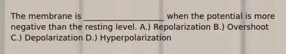 The membrane is ____________________ when the potential is more negative than the resting level. A.) Repolarization B.) Overshoot C.) Depolarization D.) Hyperpolarization