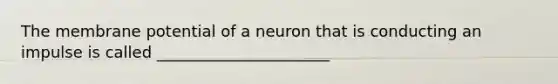 The membrane potential of a neuron that is conducting an impulse is called ______________________