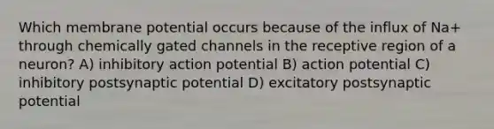 Which membrane potential occurs because of the influx of Na+ through chemically gated channels in the receptive region of a neuron? A) inhibitory action potential B) action potential C) inhibitory postsynaptic potential D) excitatory postsynaptic potential