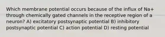 Which membrane potential occurs because of the influx of Na+ through chemically gated channels in the receptive region of a neuron? A) excitatory postsynaptic potential B) inhibitory postsynaptic potential C) action potential D) resting potential