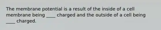 The membrane potential is a result of the inside of a cell membrane being ____ charged and the outside of a cell being ____ charged.