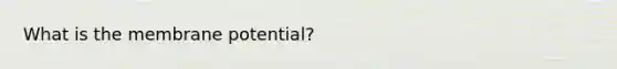 What is the membrane potential?