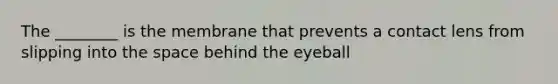 The ________ is the membrane that prevents a contact lens from slipping into the space behind the eyeball