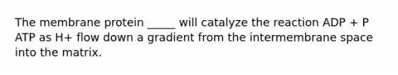 The membrane protein _____ will catalyze the reaction ADP + P ATP as H+ flow down a gradient from the intermembrane space into the matrix.