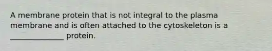 A membrane protein that is not integral to the plasma membrane and is often attached to the cytoskeleton is a ______________ protein.