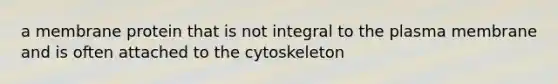 a membrane protein that is not integral to the plasma membrane and is often attached to the cytoskeleton