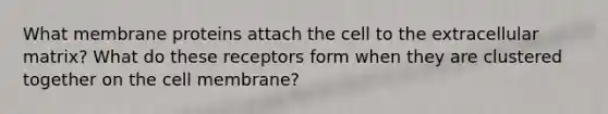 What membrane proteins attach the cell to the extracellular matrix? What do these receptors form when they are clustered together on the cell membrane?