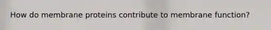 How do membrane proteins contribute to membrane function?