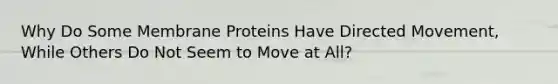 Why Do Some Membrane Proteins Have Directed Movement, While Others Do Not Seem to Move at All?