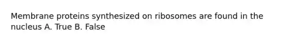 Membrane proteins synthesized on ribosomes are found in the nucleus A. True B. False