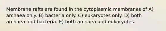 Membrane rafts are found in the cytoplasmic membranes of A) archaea only. B) bacteria only. C) eukaryotes only. D) both archaea and bacteria. E) both archaea and eukaryotes.