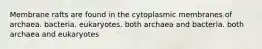 Membrane rafts are found in the cytoplasmic membranes of archaea. bacteria. eukaryotes. both archaea and bacteria. both archaea and eukaryotes