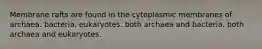 Membrane rafts are found in the cytoplasmic membranes of archaea. bacteria. eukaryotes. both archaea and bacteria. both archaea and eukaryotes.