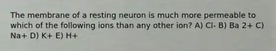 The membrane of a resting neuron is much more permeable to which of the following ions than any other ion? A) Cl- B) Ba 2+ C) Na+ D) K+ E) H+