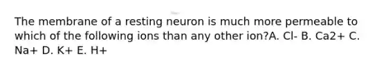 The membrane of a resting neuron is much more permeable to which of the following ions than any other ion?A. Cl- B. Ca2+ C. Na+ D. K+ E. H+