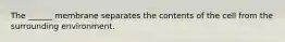 The ______ membrane separates the contents of the cell from the surrounding environment.
