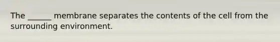 The ______ membrane separates the contents of the cell from the surrounding environment.