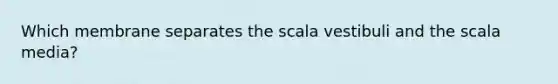 Which membrane separates the scala vestibuli and the scala media?