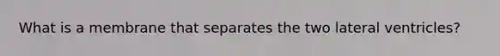 What is a membrane that separates the two lateral ventricles?