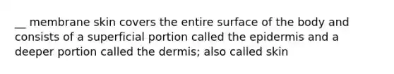 __ membrane skin covers the entire surface of the body and consists of a superficial portion called the epidermis and a deeper portion called the dermis; also called skin