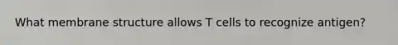 What membrane structure allows T cells to recognize antigen?