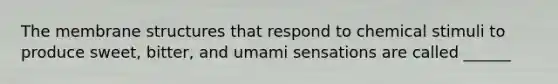 The <a href='https://www.questionai.com/knowledge/kQrQbopr52-membrane-structure' class='anchor-knowledge'>membrane structure</a>s that respond to chemical stimuli to produce sweet, bitter, and umami sensations are called ______