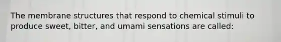 The membrane structures that respond to chemical stimuli to produce sweet, bitter, and umami sensations are called: