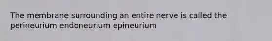 The membrane surrounding an entire nerve is called the perineurium endoneurium epineurium