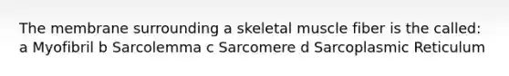 The membrane surrounding a skeletal muscle fiber is the called: a Myofibril b Sarcolemma c Sarcomere d Sarcoplasmic Reticulum