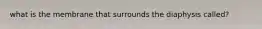 what is the membrane that surrounds the diaphysis called?