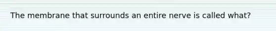 The membrane that surrounds an entire nerve is called what?