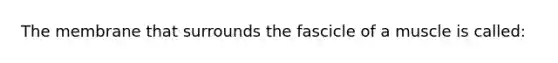 The membrane that surrounds the fascicle of a muscle is called: