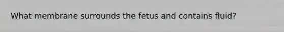 What membrane surrounds the fetus and contains fluid?