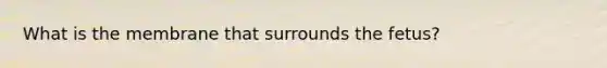 What is the membrane that surrounds the fetus?
