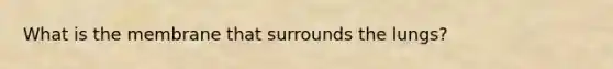 What is the membrane that surrounds the lungs?