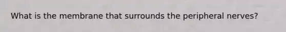 What is the membrane that surrounds the peripheral nerves?