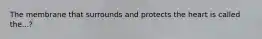 The membrane that surrounds and protects the heart is called the...?
