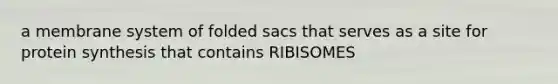 a membrane system of folded sacs that serves as a site for protein synthesis that contains RIBISOMES