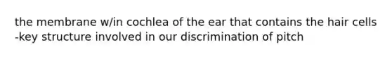 the membrane w/in cochlea of the ear that contains the hair cells -key structure involved in our discrimination of pitch