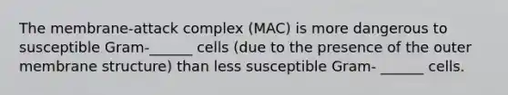 The membrane-attack complex (MAC) is more dangerous to susceptible Gram-______ cells (due to the presence of the outer membrane structure) than less susceptible Gram- ______ cells.