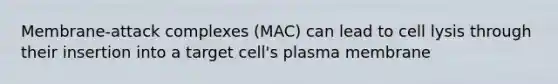 Membrane-attack complexes (MAC) can lead to cell lysis through their insertion into a target cell's plasma membrane