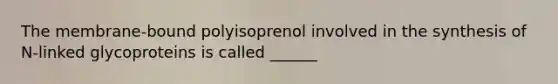 The membrane-bound polyisoprenol involved in the synthesis of N-linked glycoproteins is called ______