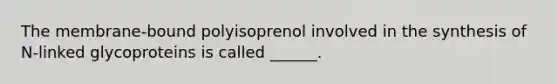 The membrane-bound polyisoprenol involved in the synthesis of N-linked glycoproteins is called ______.