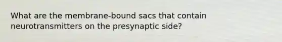 What are the membrane-bound sacs that contain neurotransmitters on the presynaptic side?