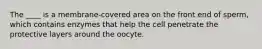 The ____ is a membrane-covered area on the front end of sperm, which contains enzymes that help the cell penetrate the protective layers around the oocyte.