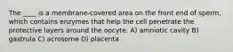 The ____ is a membrane-covered area on the front end of sperm, which contains enzymes that help the cell penetrate the protective layers around the oocyte. A) amniotic cavity B) gastrula C) acrosome D) placenta